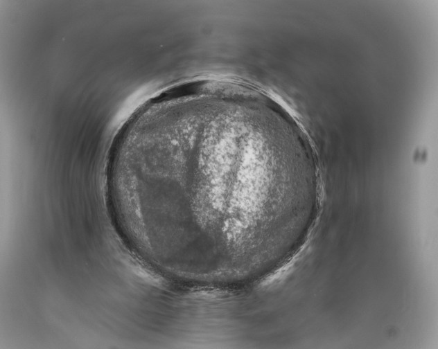 X0000089910199200707201803