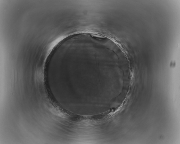 X0000089910200200707201803