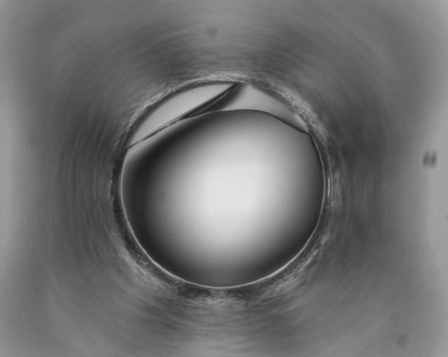 X0000089910201200707201803