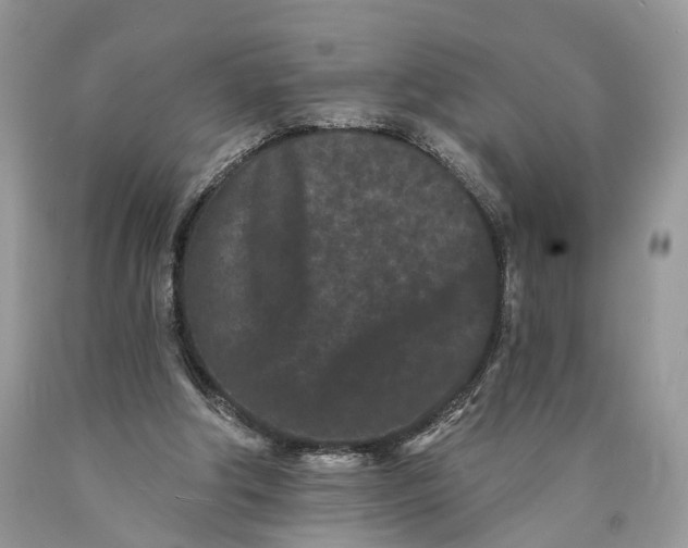 X0000089910202200707201803