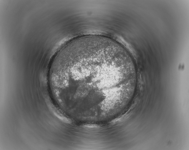 X0000089910203200707201803