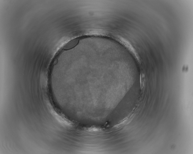 X0000089910204200707201803