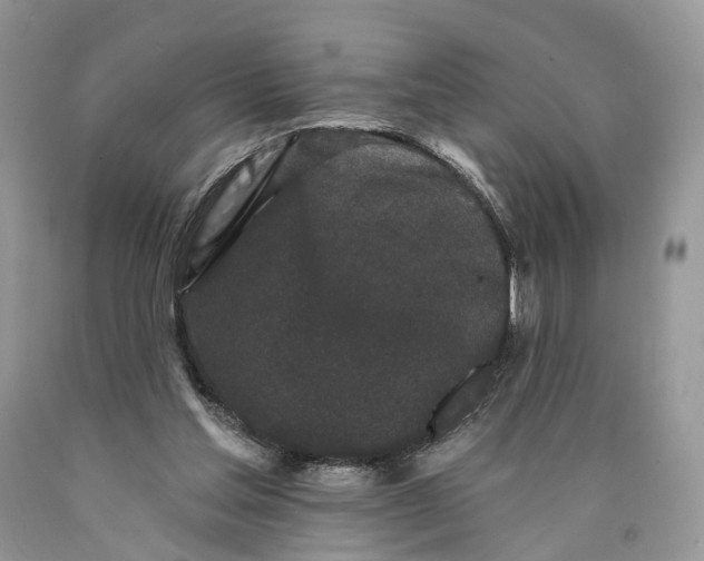 X0000089910205200707201803