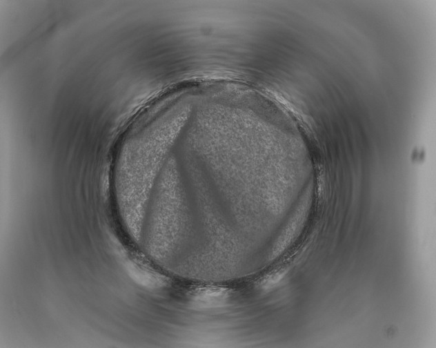 X0000089910206200707201803