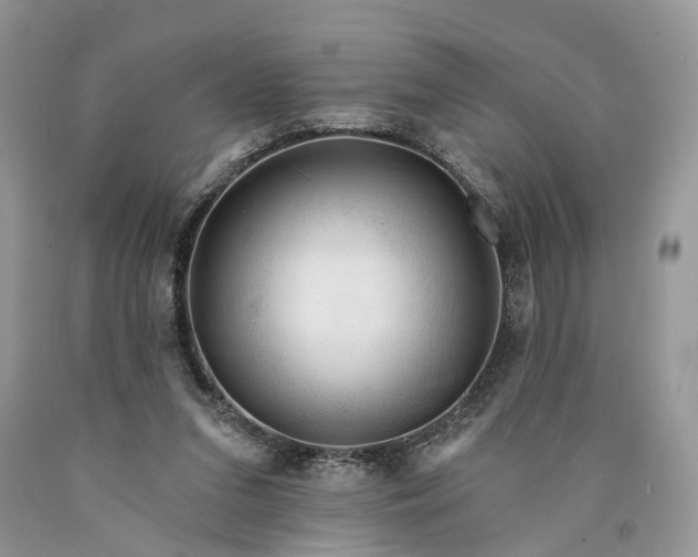 X0000089910207200707201803