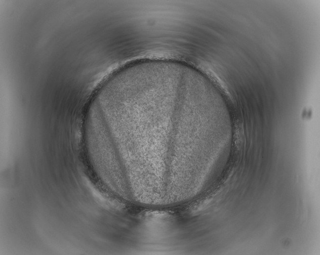 X0000089910208200707201803