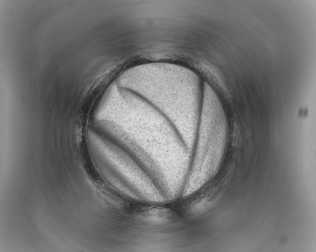 X0000089910210200707201803