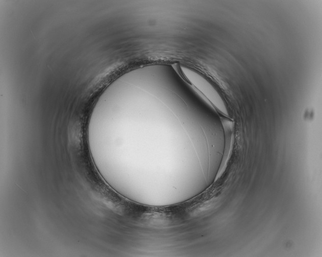 X0000089910211200707201803