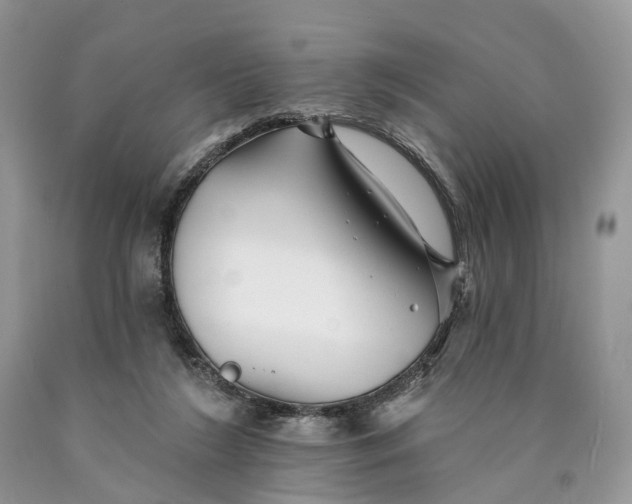 X0000089910212200707201803