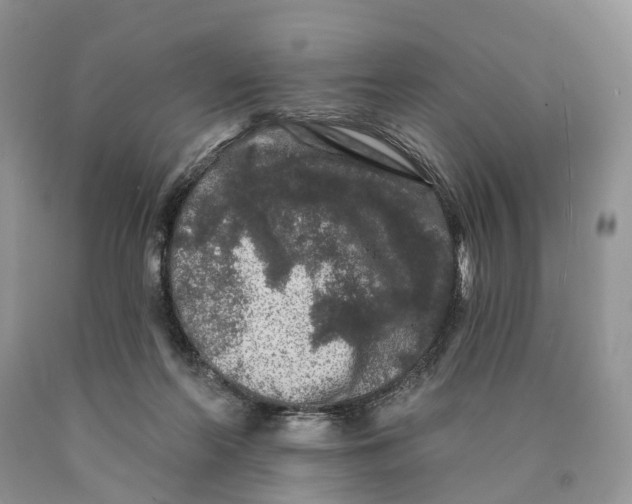 X0000089910214200707201803