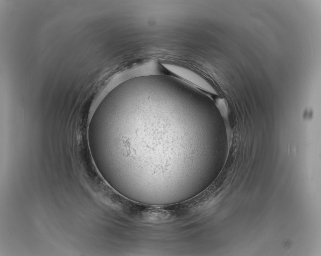 X0000089910215200707201803