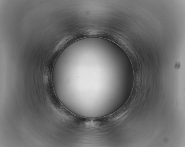 X0000089910216200707201803