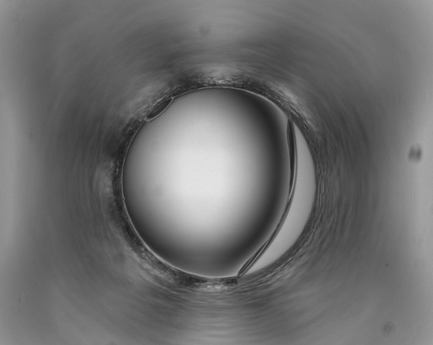 X0000089910217200707201803