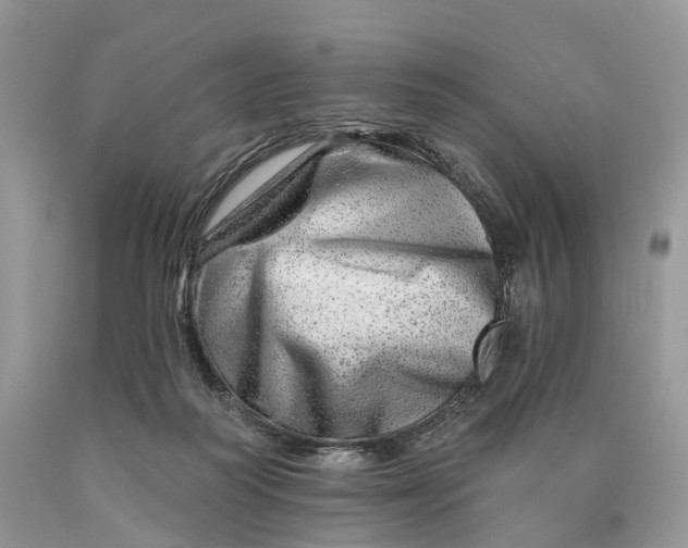 X0000089910218200707201803