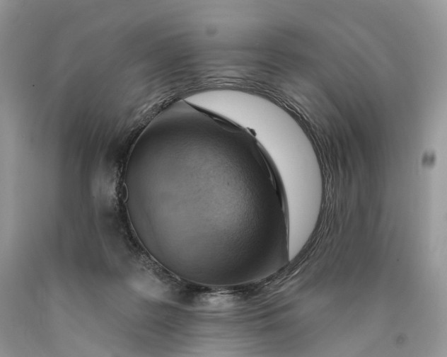 X0000089910219200707201803