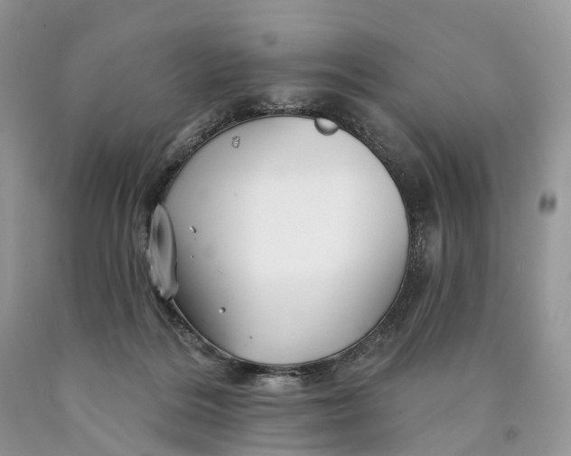 X0000089910220200707201803