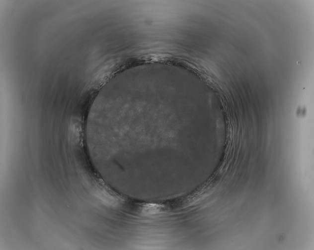 X0000089910222200707201803