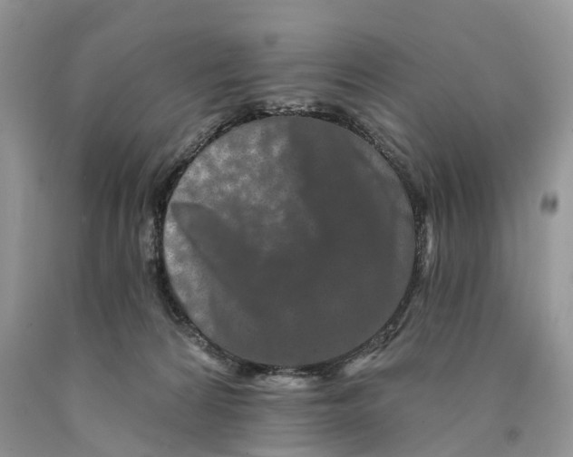 X0000089910224200707201803