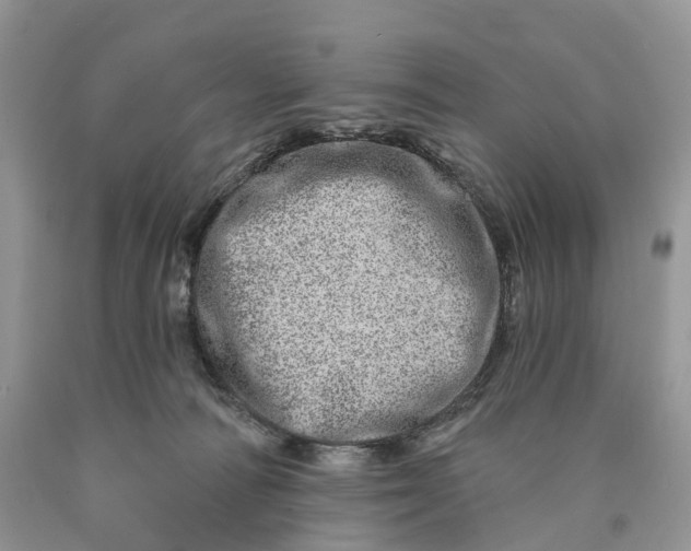 X0000089910226200707201803