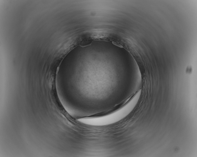 X0000089910227200707201803