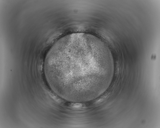 X0000089910230200707201803