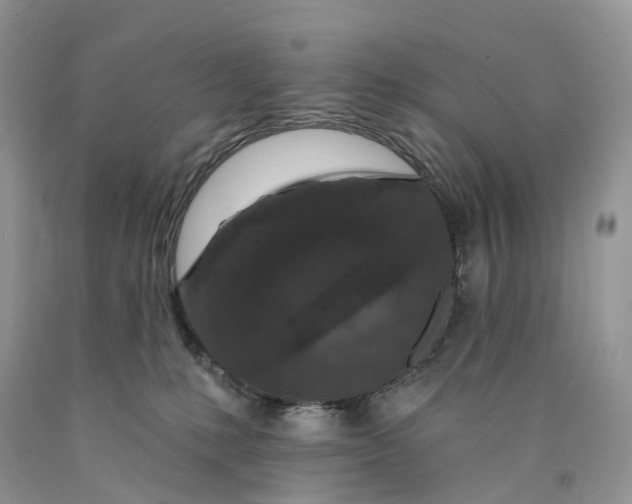 X0000089910231200707201803