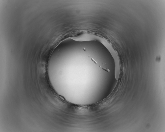 X0000089910232200707201803