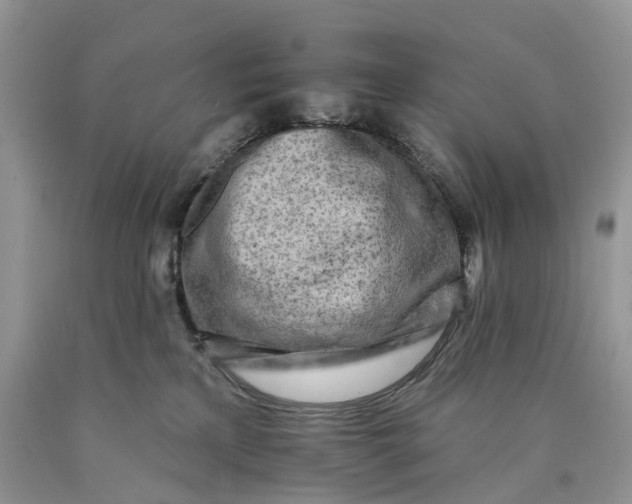 X0000089910233200707201803