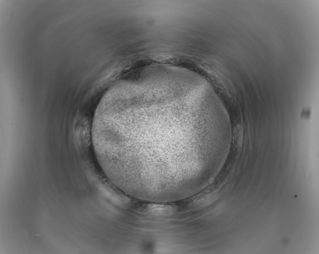 X0000089910234200707201803