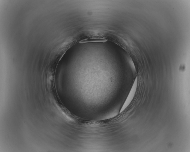 X0000089910235200707201803