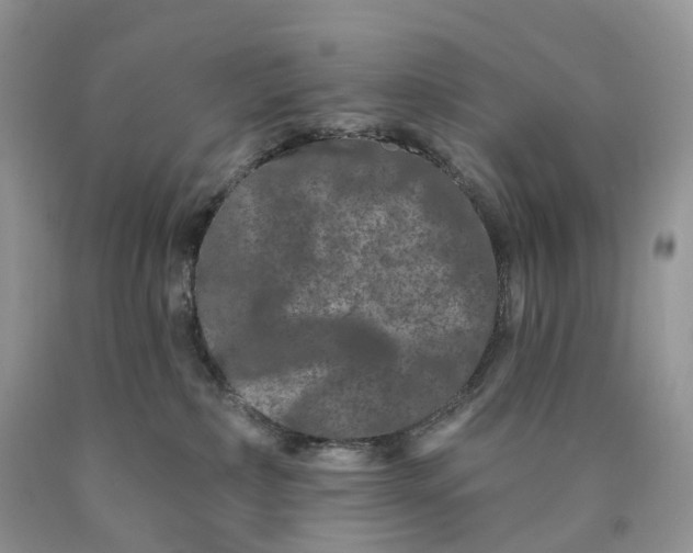 X0000089910236200707201803