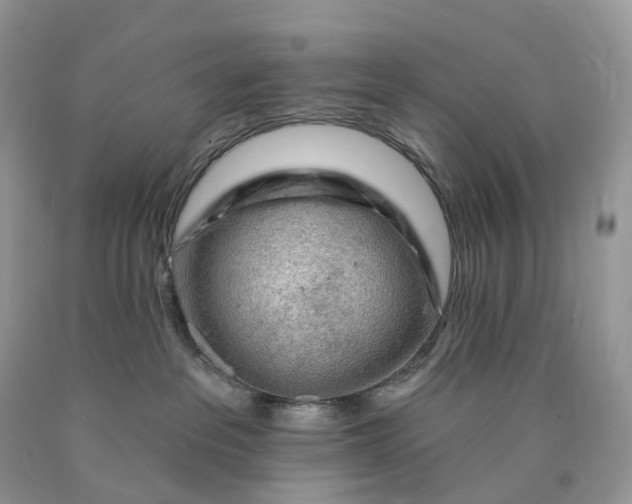 X0000089910237200707201803