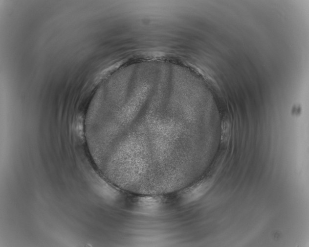 X0000089910238200707201803