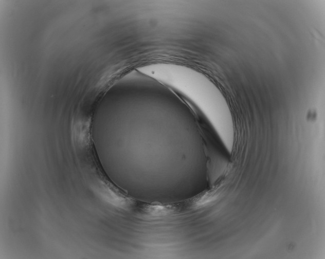 X0000089910239200707201803