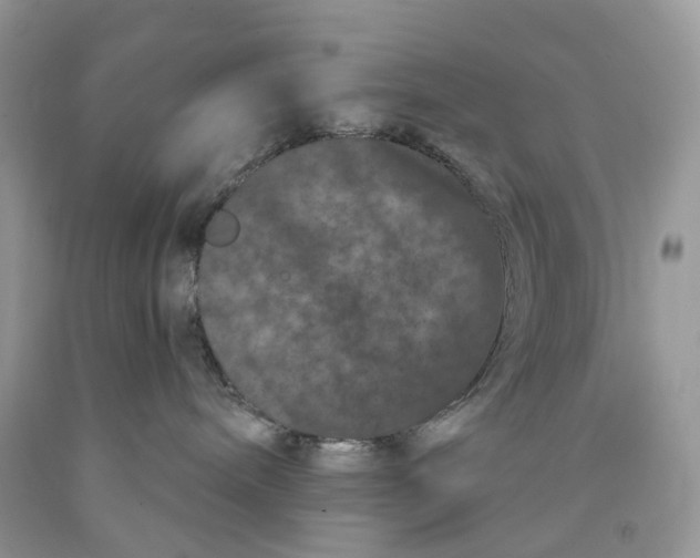 X0000089910240200707201803