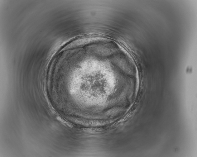 X0000089910241200707201802