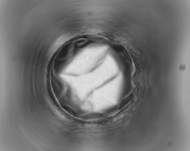 X0000089910242200707201802