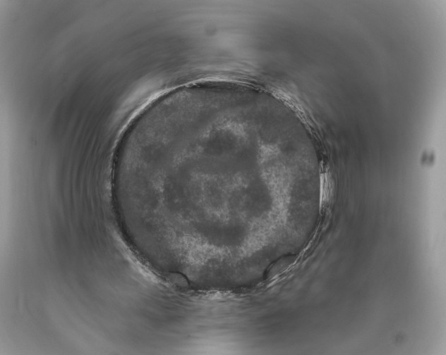 X0000089910243200707201802