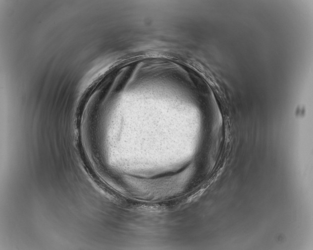 X0000089910245200707201802