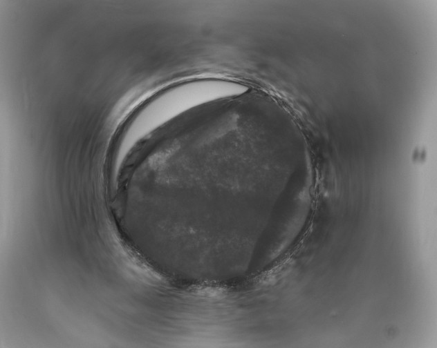 X0000089910247200707201802