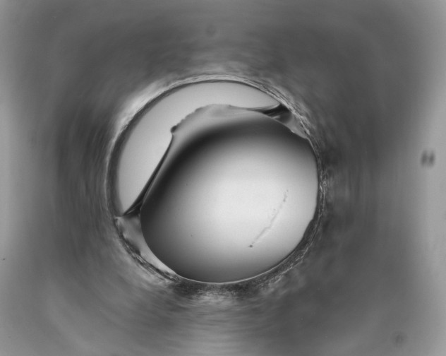 X0000089910248200707201802