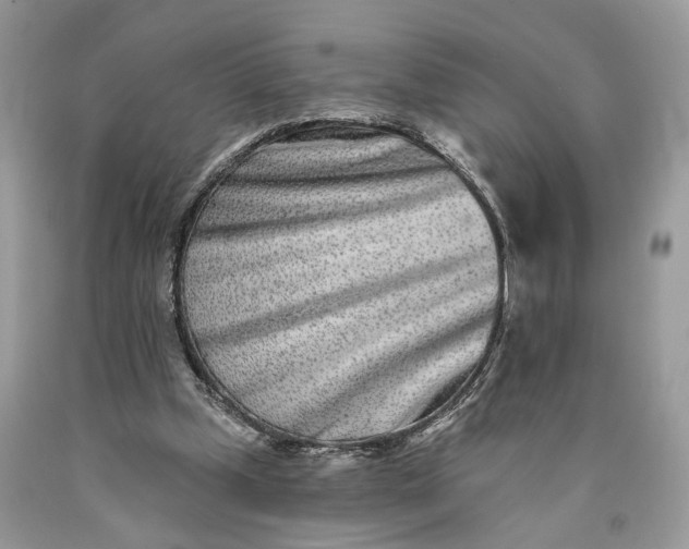 X0000089910249200707201802