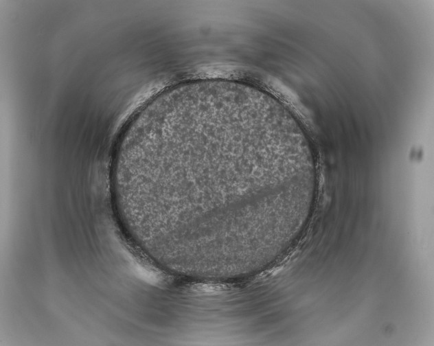 X0000089910250200707201802