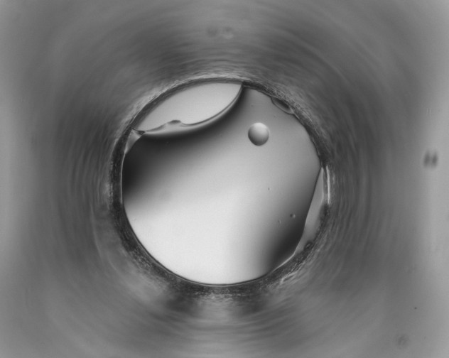 X0000089910252200707201802