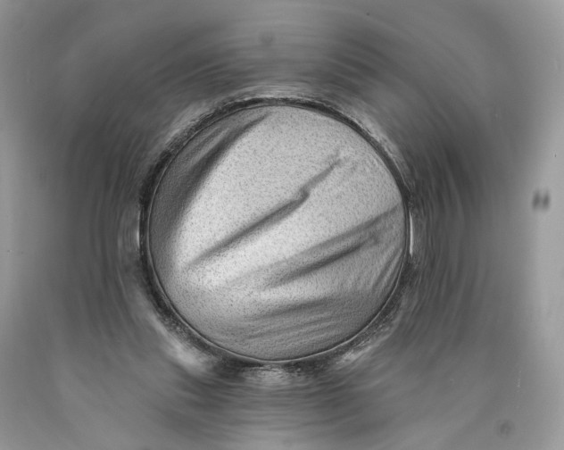 X0000089910253200707201802