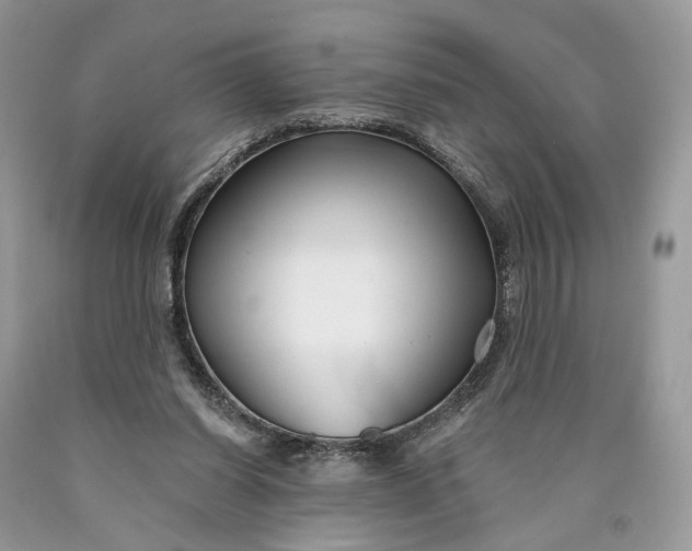 X0000089910254200707201802