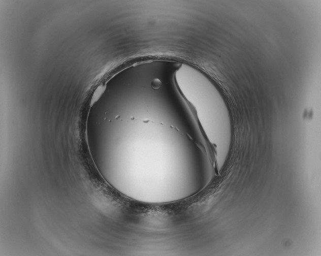 X0000089910256200707201802