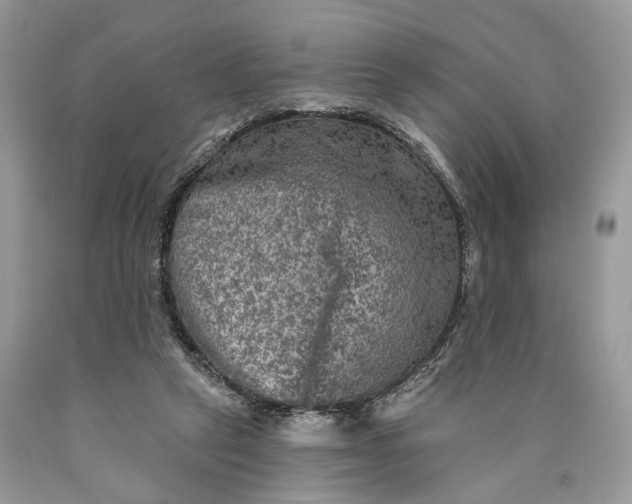 X0000089910257200707201802