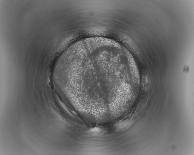 X0000089910259200707201802