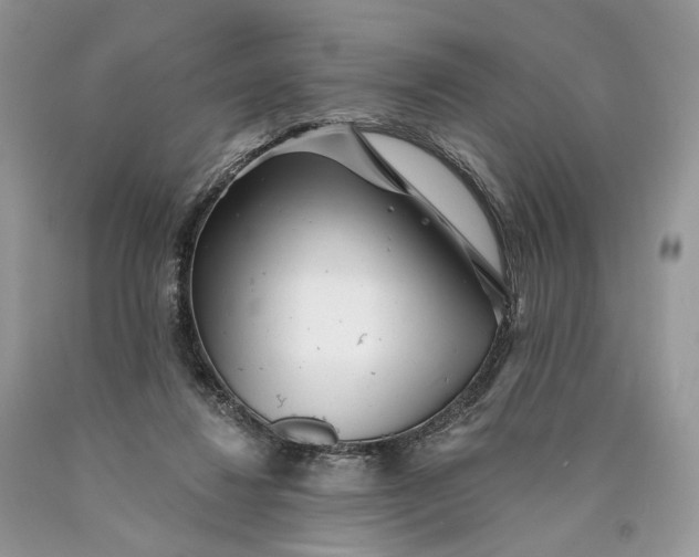 X0000089910260200707201802